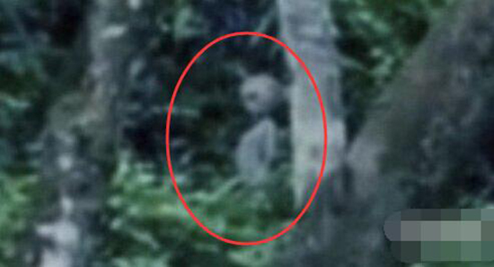 2011年巴西亞馬遜拍到外星人影像，UFO是否真實存在？